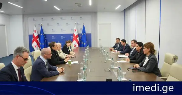 მარიამ ქვრივიშვილი აშშ-ის საერთაშორისო განვითარების საფინანსო კორპორაციის პოლიტიკის მიმართულების ხელმძღვანელს ქეროლაინ ვიკს შეხვდა