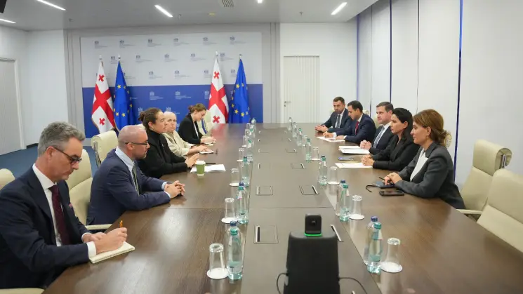 მარიამ ქვრივიშვილი აშშ-ის საერთაშორისო განვითარების საფინანსო კორპორაციის პოლიტიკის მიმართულების ხელმძღვანელს შეხვდა