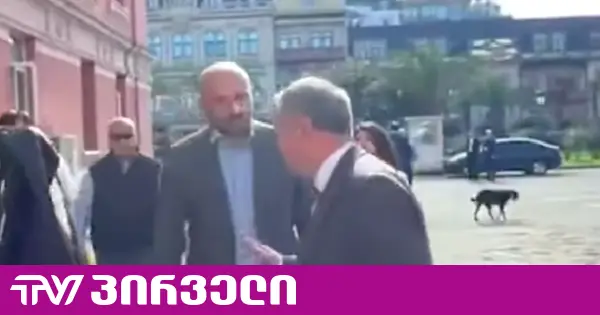 ხმაური საკონსტიტუციო სასამართლოსთან - თენგიზ შარმანაშვილმა ლევან ცუცქირიძეს "ქაჯი" უწოდა
