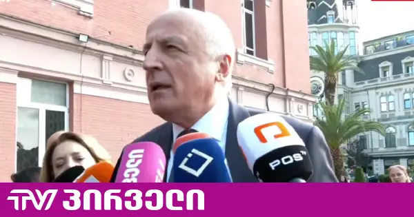 ჩვენ აქ ვართ ქვეყნის დამოუკიდებლობის დასაცავად - ბადრი ჯაფარიძე საკონსტიტუციო სასამართლოში შევიდა