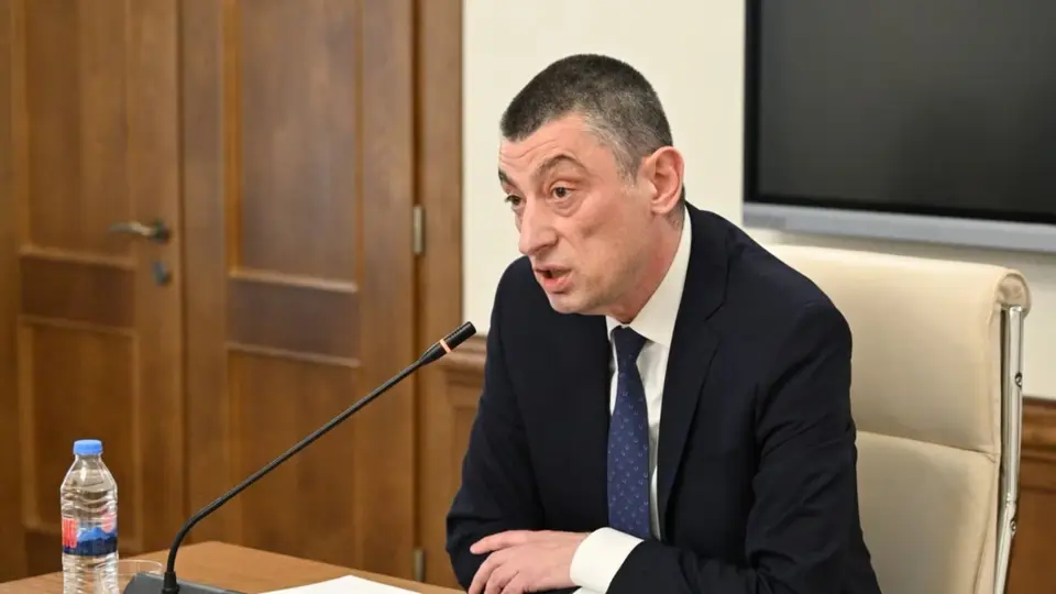 გახარიას პარტიის საერთო სარჩელიდან გამოყოფის საკითხი საკონსტიტუციომ არ დააკმაყოფილა