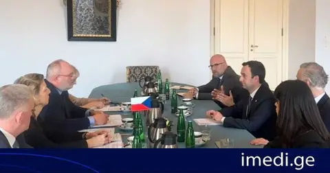 საქართველოს საპარლამენტო დელეგაციამ ჩეხეთის საგარეო საქმეთა სამინისტროს წარმომადგენლებთან შეხვედრა გამართა