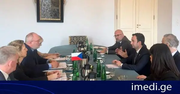 საქართველოს საპარლამენტო დელეგაციამ ჩეხეთის საგარეო საქმეთა სამინისტროს წარმომადგენლებთან შეხვედრა გამართა