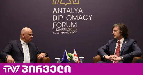 კობახიძემ ალან ბერსეს განცხადება პარტიების აკრძალვასთან დაკავშირებით "ჩარევად" შეაფასა