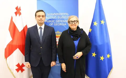 სახალხო დამცველი საქართველოში გერმანიის ელჩს შეხვდა