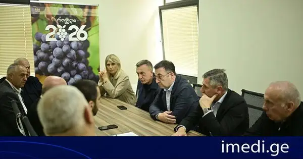 დავით სონღულაშვილი: რაჭაში რთველი შეუფერხებლად მიმდინარეობს