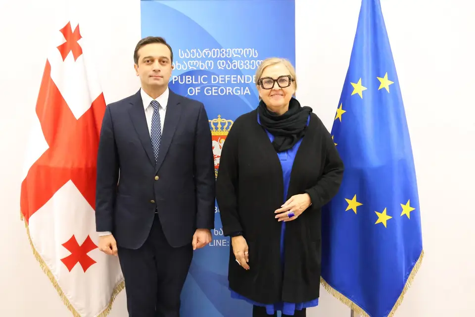სახალხო დამცველი გერმანიის ელჩს შეხვდა