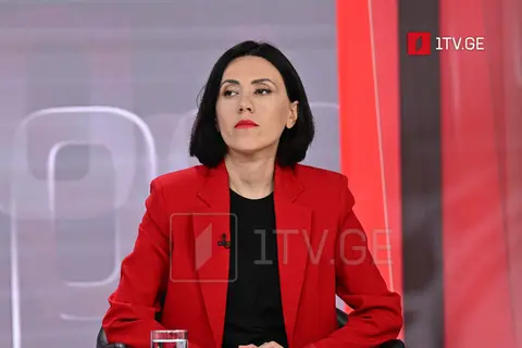 ანა წითლიძე – „ქართული ოცნების“ წარმომადგენლობა დაბალი დონის შემადგენლობით იყო, არა მხოლოდ სამართლებრივი არგუმენტების წარდგენა გაუჭირდათ, არამედ ბევრი იურიდიული ტერმინიც ვერ გაარჩიეს