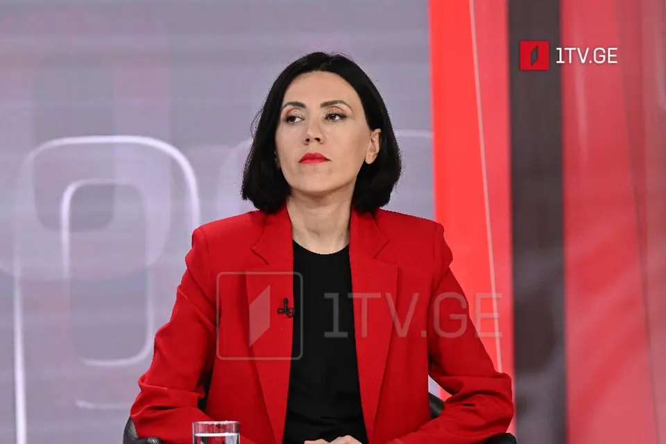 ანა წითლიძე – „ქართული ოცნების“ წარმომადგენლობა დაბალი დონის შემადგენლობით იყო, არა მხოლოდ სამართლებრივი არგუმენტების წარდგენა გაუჭირდათ, არამედ ბევრი იურიდიული ტერმინიც ვერ გაარჩიეს