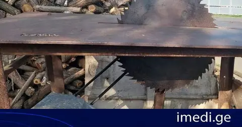 გარემოსდაცვითი ზედამხედველობის დეპარტამენტმა იმერეთში უკანონო ტყით სარგებლობის 10 ფაქტი გამოავლინა