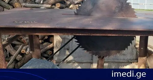 გარემოსდაცვითი ზედამხედველობის დეპარტამენტმა იმერეთში უკანონო ტყით სარგებლობის 10 ფაქტი გამოავლინა
