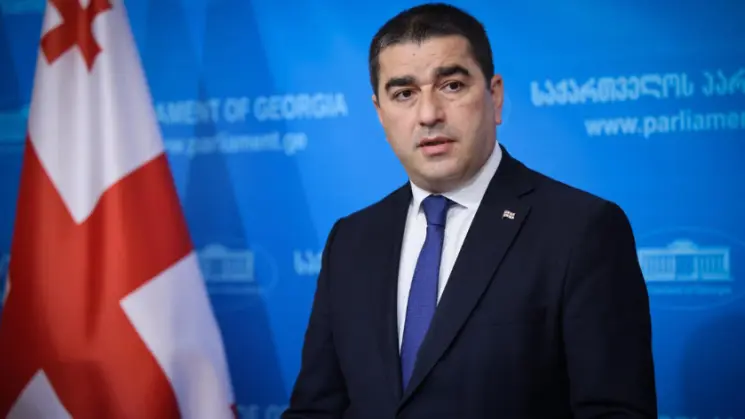 შალვა პაპუაშვილი: არაერთხელ დადასტურებულა სტრასბურგის მიერ, რომ ქართულ მართლმსაჯულებაზე უცხოეთიდან გაკეთებული განცხადებები უსაფუძვლო იყო. ვალად აქვთ ბოდიშის სააკაშვილის, მელიას, გვარამიას, "რუსთავი 2"-ის და მრავალ სხვა საქმეზე უსაფუძვლო თავდასხმების გამო