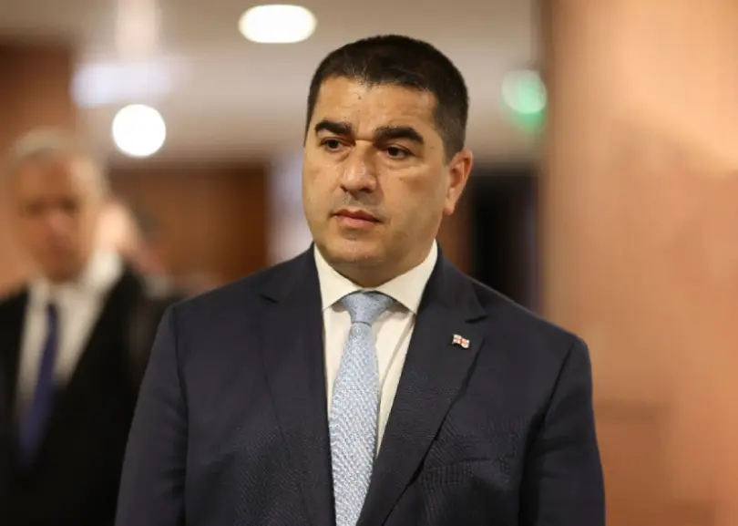 პაპუაშვილი: შემაშფოთებელია უცხოელების განცხადებები საკონსტიტუციოსთან დაკავშირებით