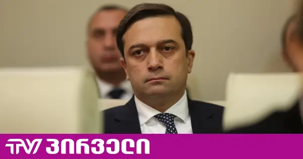 ომბუდსმენი პარტიების აკრძალვის საქმეში ჯერ არ ჩართულა