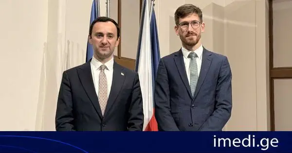 საქართველოს საპარლამენტო დელეგაციამ ჩეხეთის მთავრობის ევროპულ საქმეთა სექციის წარმომადგენლებთან შეხვედრა გამართა