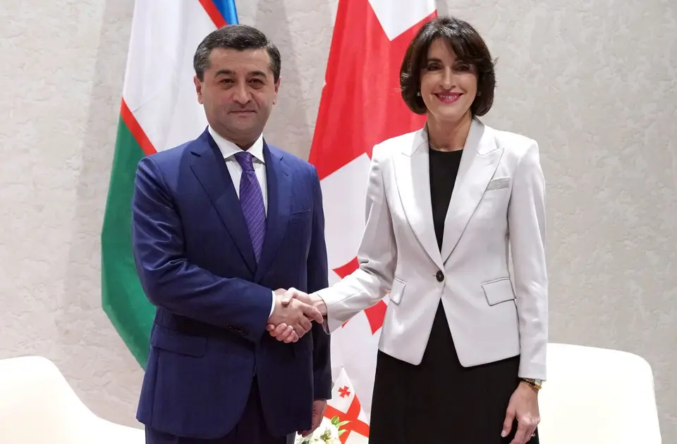 მაკა ბოჭორიშვილი უზბეკეთის საგარეო საქმეთა მინისტრს, ბახტიორ საიდოვს შეხვდა
