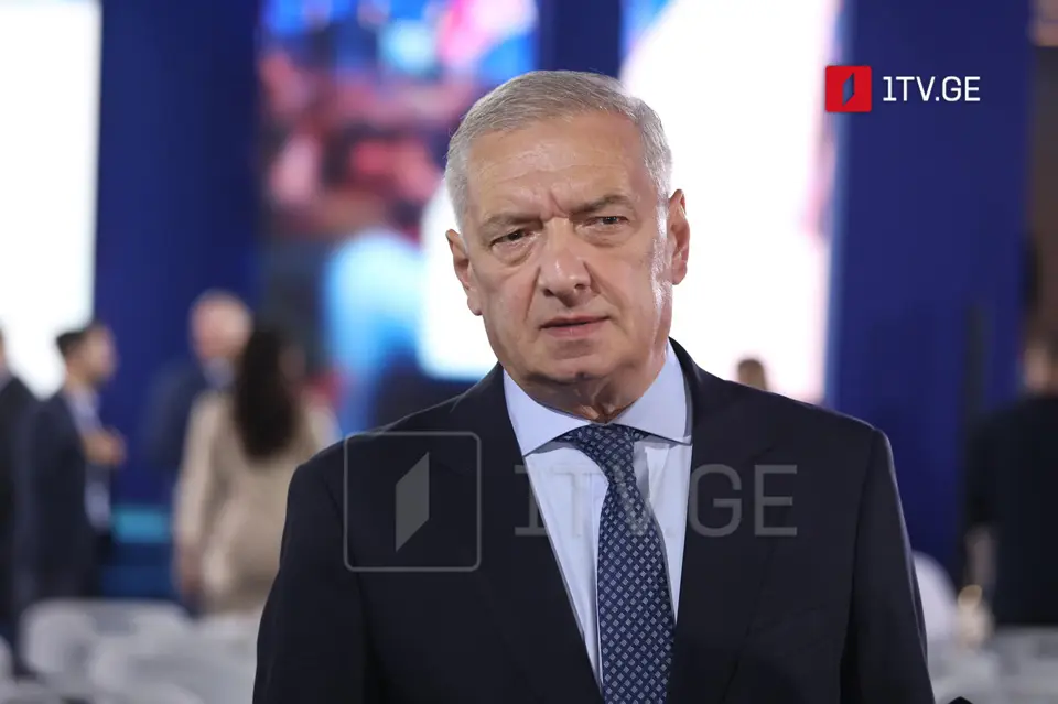 გია ვოლსკი – გველაპარაკეთ კონკრეტული არგუმენტებით, ჩვენი რომელი ბრალდებაა უსაფუძვლო, რომელი ევროპული სახელმწიფო დაუშვებს დესტაბილიზაციისთვის მომართული სტრუქტურის საქმიანობასთან შეგუებას