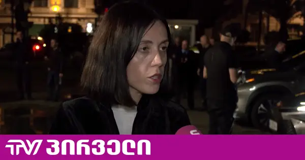 მოსამართლეებს ივანიშვილისგან ინსტრუქცია აქვთ, რომ რაც შეიძლება სწრაფად მორჩნენ პროცესს - ანა წითლიძე