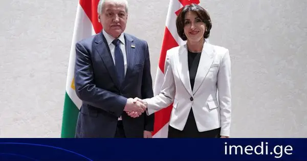 ვიცე-პრემიერი, საგარეო საქმეთა მინისტრი მაკა ბოჭორიშვილი ტაჯიკეთის რესპუბლიკის საგარეო საქმეთა მინისტრს სიროჯიდინ მუხრიდინს შეხვდა