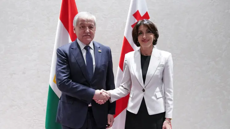 მაკა ბოჭორიშვილი ტაჯიკეთის რესპუბლიკის საგარეო საქმეთა მინისტრს სიროჯიდინ მუხრიდინს შეხვდა