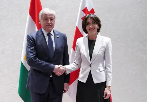 მაკა ბოჭორიშვილი ტაჯიკეთის რესპუბლიკის საგარეო საქმეთა მინისტრს, სიროჯიდინ მუხრიდინს შეხვდა