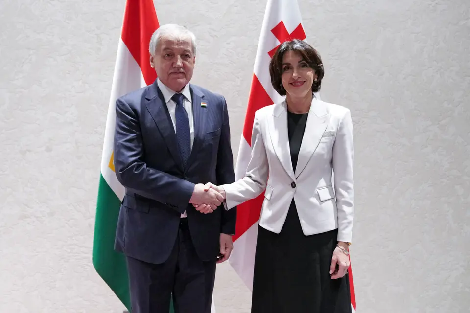 მაკა ბოჭორიშვილი ყირგიზეთისა და ტაჯიკეთის საგარეო საქმეთა მინისტრებს შეხვდა