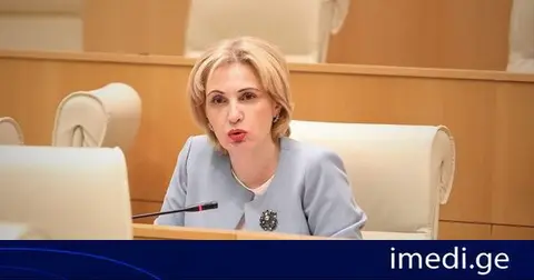 ეკა სეფაშვილი: საკონსტიტუციო სასამართლოში მიმდინარე პროცესს ძალიან ბევრი ადამიანი აკვირდება და ყოველი ფრაზა გამადიდებელი შუშით იქნება შესწავლილი - შესაბამისად, ჩვენი და საერთაშორისო კანონმდებლობიდან ყოველგვარ გადაცდომას აბსოლუტურად გამოვრიცხავ