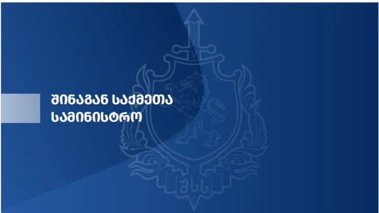 მიგრაციის დეპარტამენტის თანამშრომლებმა საქართველოში უკანონოდ მყოფი უცხო ქვეყნის 48 მოქალაქე დააკავეს