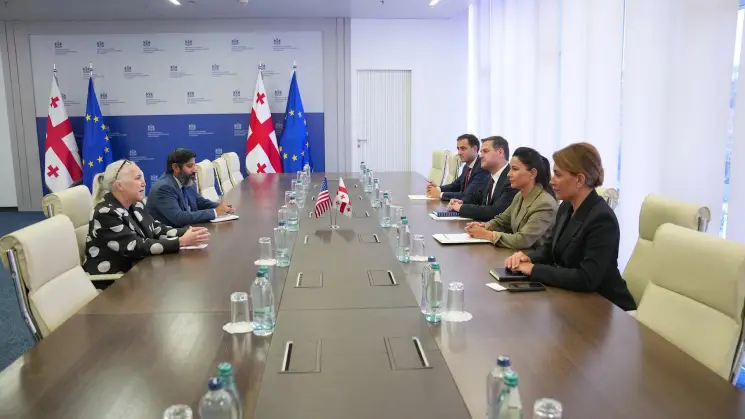 მარიამ ქვრივიშვილი აშშ-ის საქმეთა დროებით რწმუნებულს შეხვდა - მხარეებმა ეკონომიკური თანამშრომლობის პრიორიტეტები განიხილეს