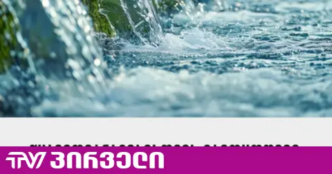 წყალმომარაგებისთვის გამოყოფილ 266 მილიონ ლარს „ოცნების“ შემწირველები ინაწილებენ -TI