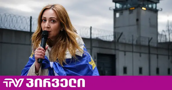 ნანა სანდერი საპროცესო შეთანხმების გაფორმებას ითხოვს