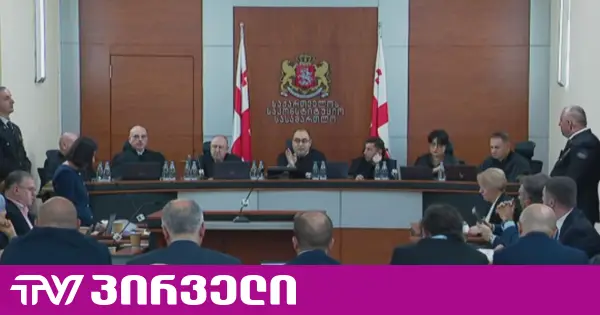 პლენუმმა სხდომების გადადებაზე გახარიას გუნდის შუამდგომლობა არ დააკმაყოფილა