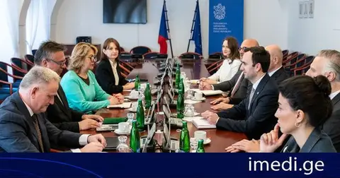 საქართველოს საპარლამენტო დელეგაციამ ჩეხეთის პარლამენტის დეპუტატთა პალატის თავმჯდომარის მოადგილესთან ორმხრივი ურთიერთობები განიხილა