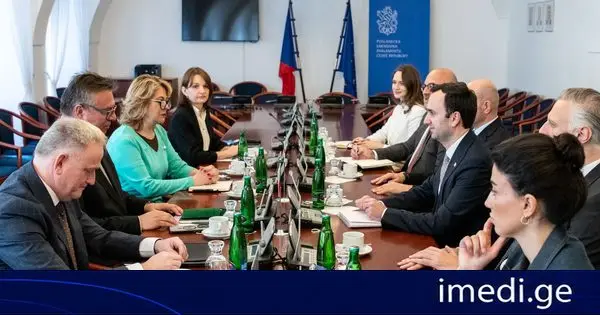 საქართველოს საპარლამენტო დელეგაციამ ჩეხეთის პარლამენტის დეპუტატთა პალატის თავმჯდომარის მოადგილესთან ორმხრივი ურთიერთობები განიხილა
