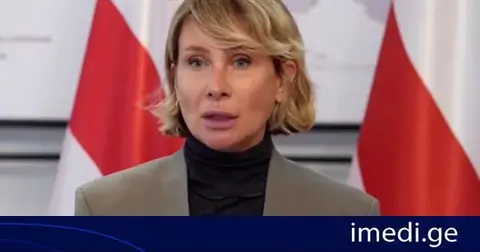 ნინო წილოსანი: როდესაც შენს გაზეთის ფურცლებს და საინფორმაციო ველს უთმობ ისეთ ბრალდებებს, რომელიც აზიანებს არა მხოლოდ რომელიმე პოლიტიკოსს, ან საჯარო მოხელეს, არამედ მთლიანად სახელმწიფოს, ეს არ შეიძლება ჩაითვალოს უწყინარ მცდელობად