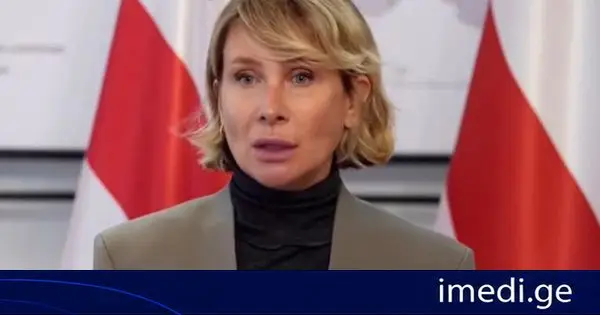 ნინო წილოსანი: როდესაც შენს გაზეთის ფურცლებს და საინფორმაციო ველს უთმობ ისეთ ბრალდებებს, რომელიც აზიანებს არა მხოლოდ რომელიმე პოლიტიკოსს, ან საჯარო მოხელეს, არამედ მთლიანად სახელმწიფოს, ეს არ შეიძლება ჩაითვალოს უწყინარ მცდელობად