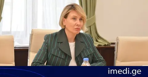 ნინო წილოსანი: უცნაურია, რამ აღაშფოთა ჩვენი ევროპელი ბიუროკრატები, მათ ხომ საკუთარ მაგალითზე აქვთ პარტიები აკრძალული?!