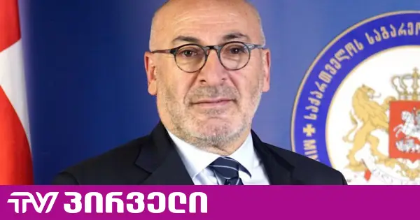 პარტიების აკრძალვა ბუმერანგი იქნება თავად დღევანდელი გამსამართლებლებისთვის - საქართველოს ყოფილი ელჩი საფრანგეთში