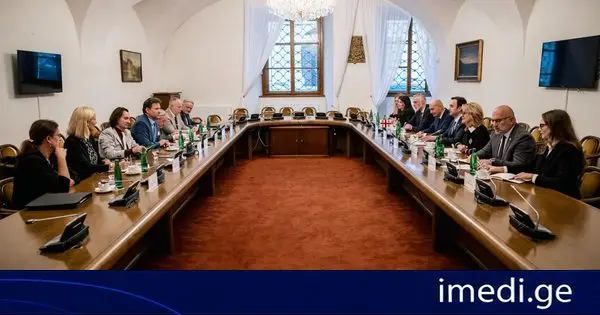 საქართველოს საპარლამენტო დელეგაცია ჩეხეთის პარლამენტში შეხვედრებს მართავს