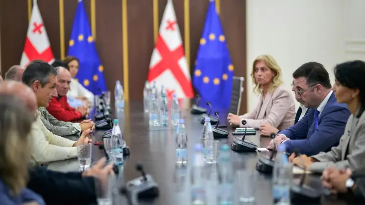 დავით სონღულაშვილი EMaVE-ის კონსორციუმის წარმომადგენლებს შეხვდა