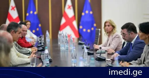 დავით სონღულაშვილი „EMaVE”-ის კონსორციუმის წარმომადგენლებს შეხვდა