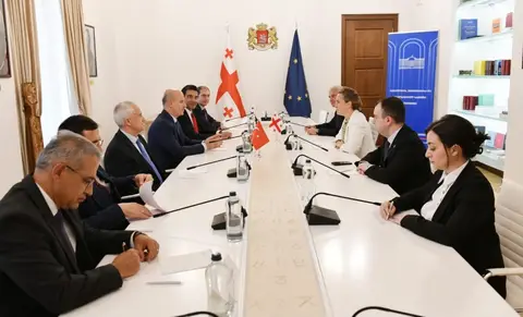 მარიამ ლაშხი, გიორგი ჩაკვეტაძე და ირაკლი ქადაგიშვილი თურქეთის უმაღლესი განათლების საბჭოს პრეზიდენტს შეხვდნენ