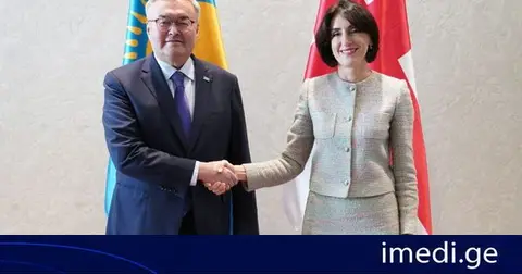 მაკა ბოჭორიშვილი ყაზახეთის რესპუბლიკის საგარეო საქმეთა მინისტრს შეხვდა