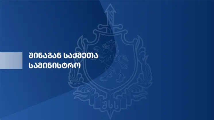 პოლიციამ თბილისსა და რეგიონებში განსაკუთრებით დიდი ოდენობით ნარკოტიკები ამოიღო - დაკავებულია 11 პირი