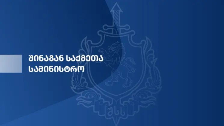 გურიის პოლიციამ დიდი ოდენობით ნარკოტიკული საშუალებები და ცეცხლსასროლი იარაღი ამოიღო - დაკავებულია ერთი პირი