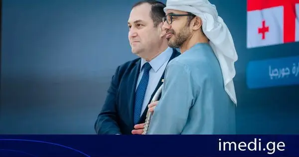 არაბთა გაერთიანებული საამიროების ვიცე-პრემიერმა და საგარეო საქმეთა მინისტრმა საქართველოს საგანგებო და სრულუფლებიან ელჩს „განსაკუთრებული მიღწევების ჯილდო“გადასცა