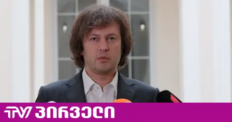 კობახიძე ევროპარლამენტარებს ქვეყანაში პოლარიზაციის გაღრმავებაში ადანაშაულებს - კრიტიკა უნგრეთიდან