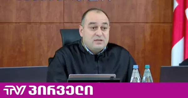 ეკა ბესელია ამბობს, რომ "ოცნება" საკონსტიტუციო სასამართლოს ახლანდელ თავმჯდომარეს დაჭერას უპირებდა