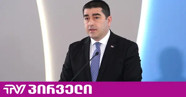პაპუაშვილი ამტკიცებს, რომ ნამახვანჰესის პროექტი ბრიუსელიდან დაფინანსებულმა ორგანიზაციებმა ჩაშალეს