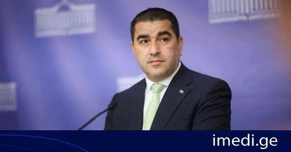 შალვა პაპუაშვილი: თუ პარტია თავისი არსით ანტიქართულია, მაშინ მას პროევროპულობა არ შველის